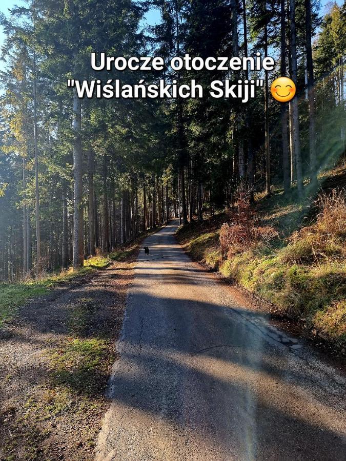 Apartament Wislanskie Skije Extérieur photo